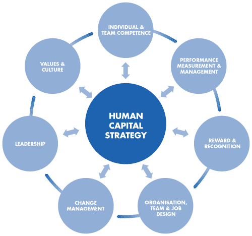 Human Capital - Management Guru | Management Guru
 Human Capital