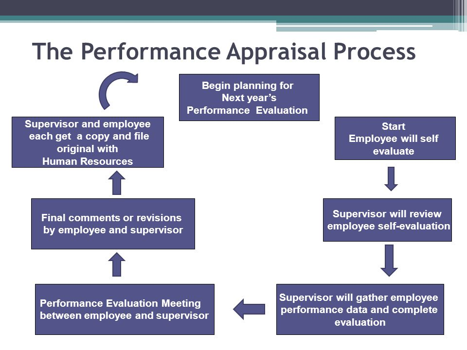 Definition job performance appraisal