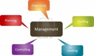 Management accounting in management functions