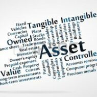 Liquidity Ratio or Working Capital Ratio