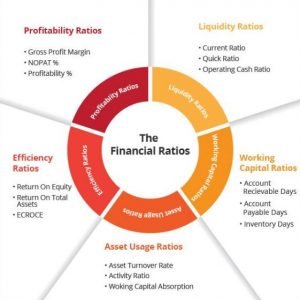 Classification of Financial Ratios