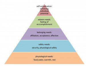 Physiological, Safety, Security, Esteem Needs and Self Actualization