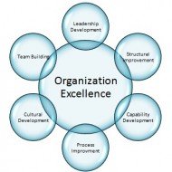 Organizational Development Techniques