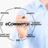 The E-Commerce Model