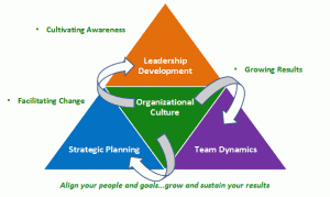 Defining organizational culture and factors