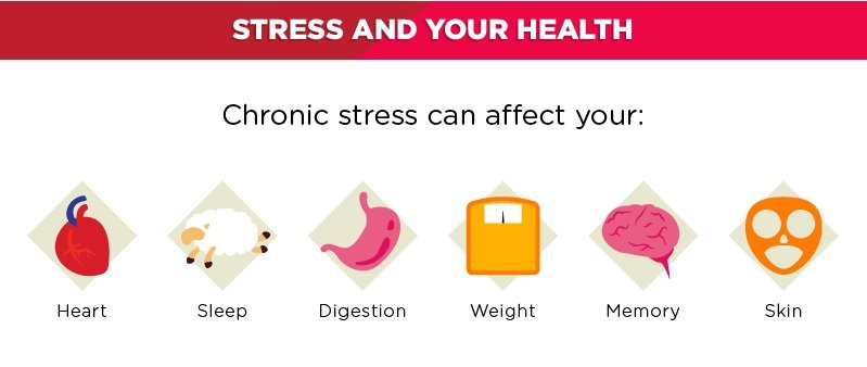 Stress and your health