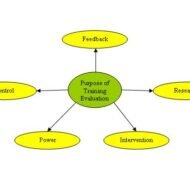 Training Programme Evaluation
