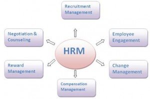 Role of managers in developing HRM