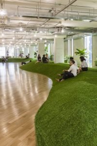 Green office space to stimulate productivity.