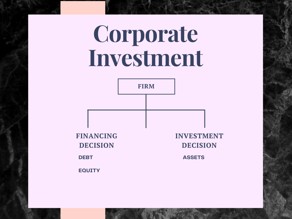 Corporate financing and investment portfolio