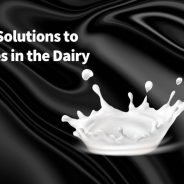 Finding Solutions to Obstacles in the Dairy Industry