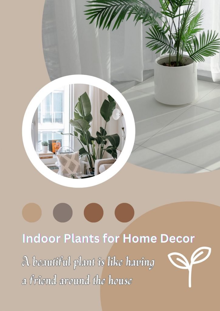 Indoor plants for home decor bring harmony and peace.